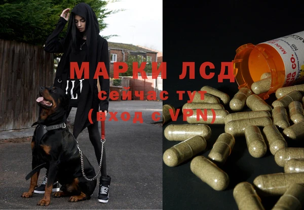 гидропоника Пересвет