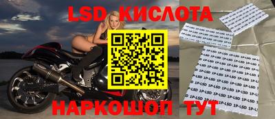 гидра Брянск