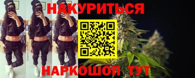 гидра Брянск