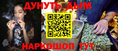 гидра Брянск