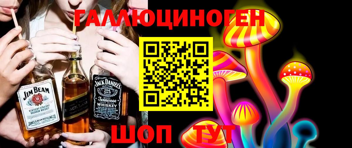 Псилоцибиновые грибы прущие грибы  Вход с VPN  Александров 