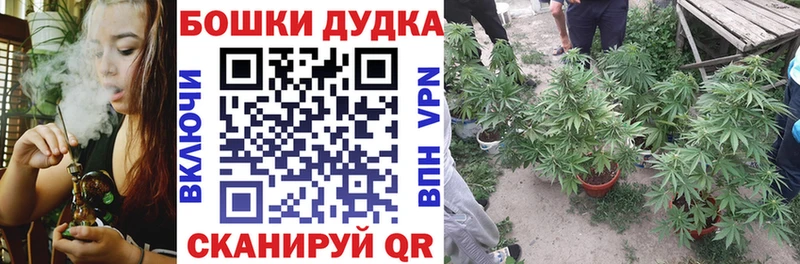 omg tor  даркнет сайт  Александров  Конопля THC 21% 